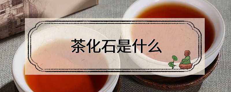 茶化石是什么