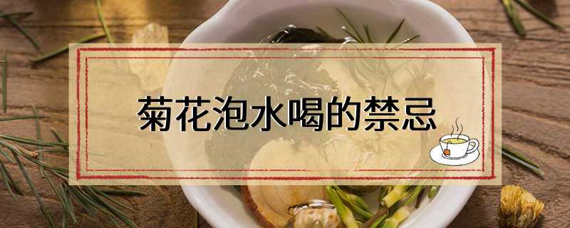 菊花泡水喝的禁忌