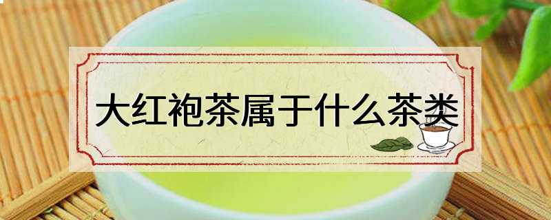大红袍茶属于什么茶类