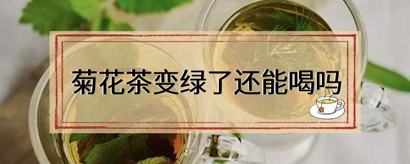 菊花茶变绿了还能喝吗