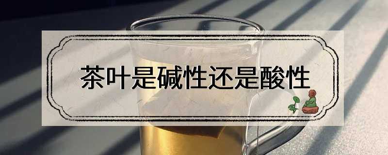 茶叶是碱性还是酸性