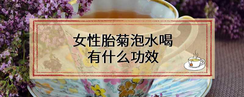 女性胎菊泡水喝有什么功效