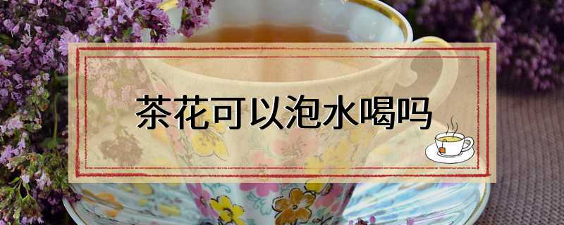 茶花可以泡水喝吗