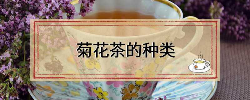 菊花茶的种类