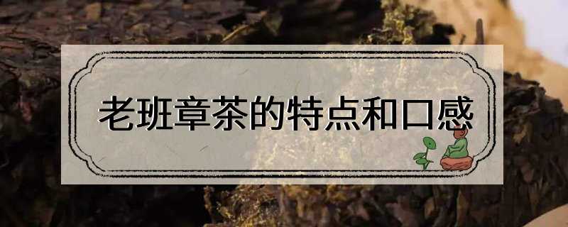 老班章茶的特点和口感