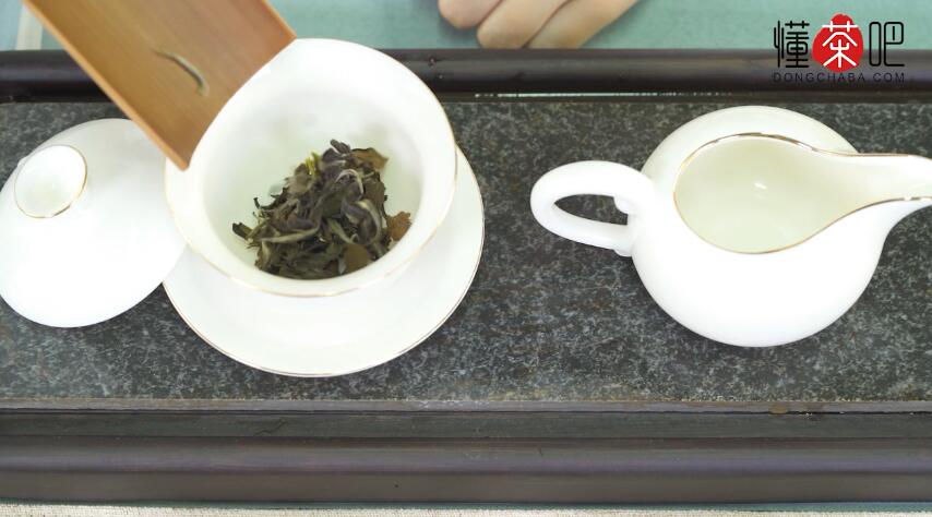 寿眉白茶怎么泡(1)