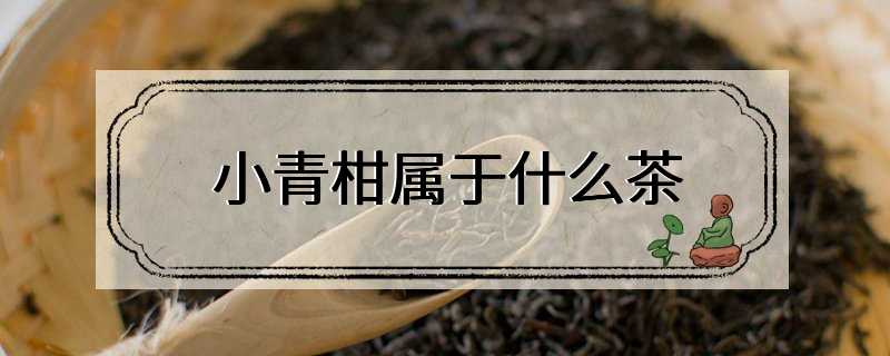 小青柑属于什么茶