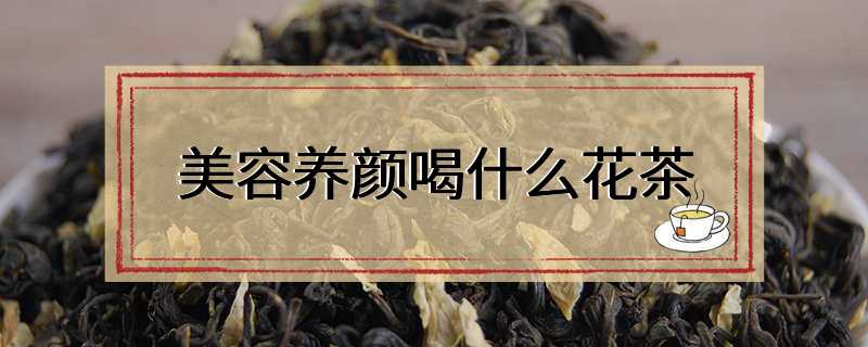 美容养颜喝什么花茶