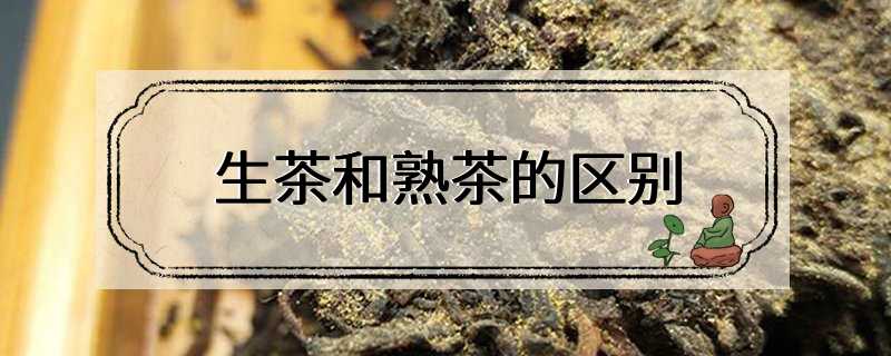 生茶和熟茶的区别