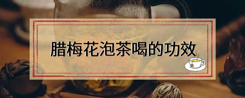 腊梅花泡茶喝的功效