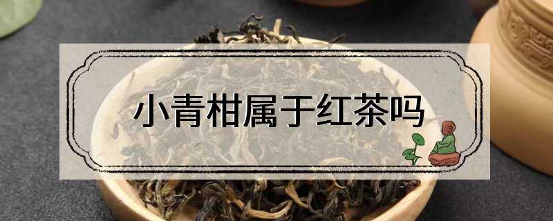 小青柑属于红茶吗
