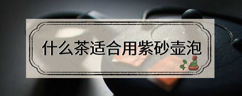 什么茶适合用紫砂壶泡