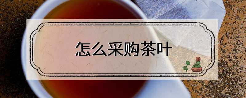 怎么采购茶叶