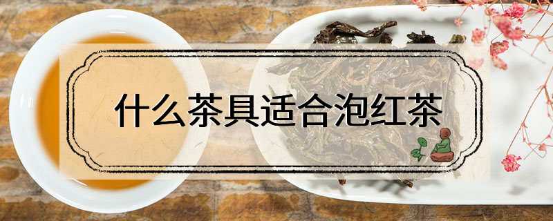 什么茶具适合泡红茶