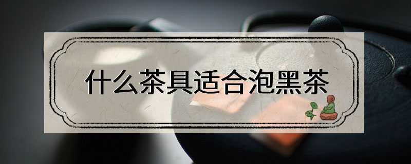 什么茶具适合泡黑茶