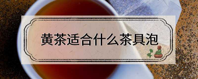 黄茶适合什么茶具泡
