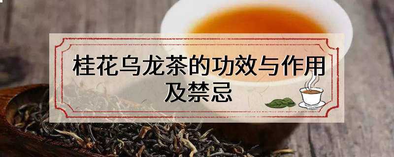 桂花乌龙茶的功效与作用及禁忌