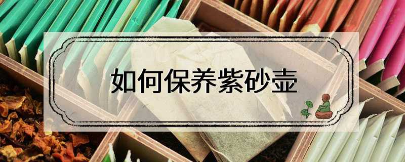 如何保养紫砂壶