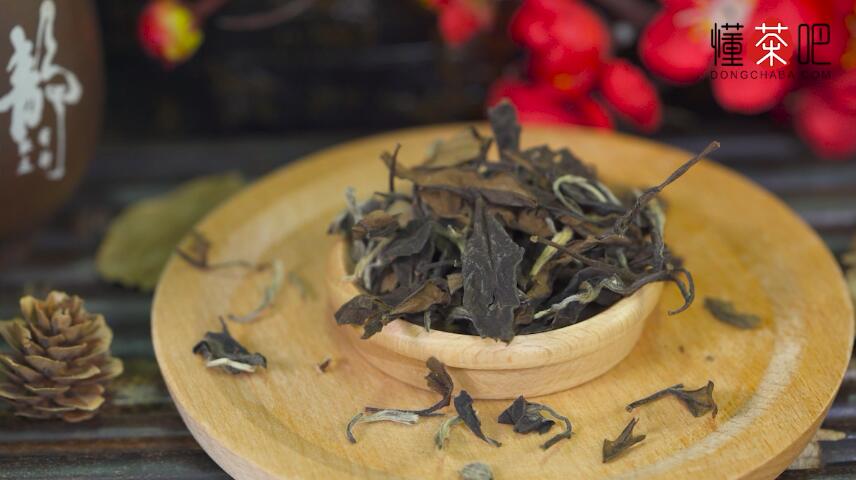 寿眉茶产地都有哪些(1)