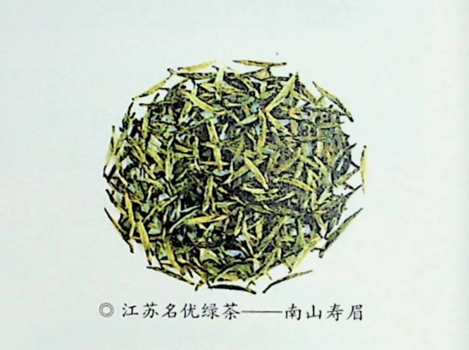 如何选购南山寿眉