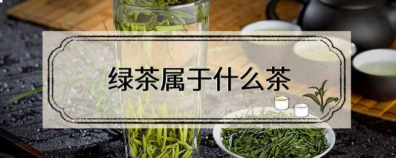 绿茶属于什么茶