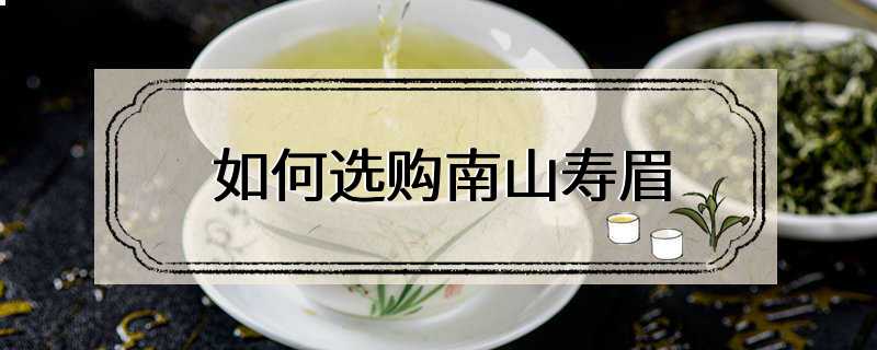 如何选购南山寿眉
