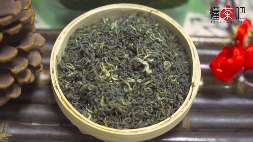 都匀毛尖采茶时间(1)