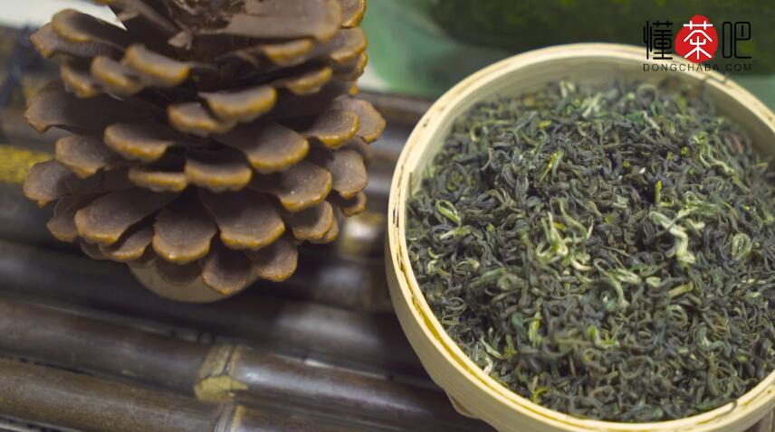 都匀毛尖茶用什么来泡