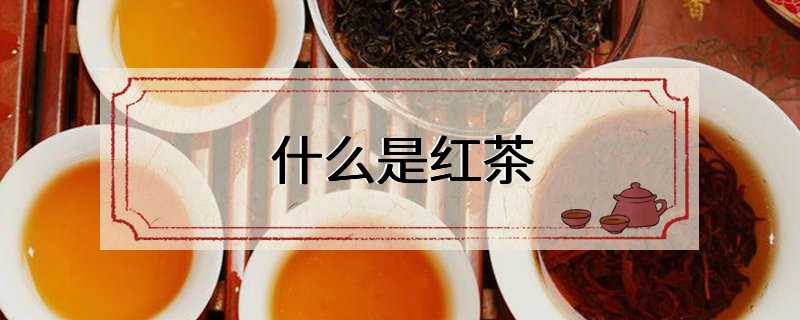 什么是红茶