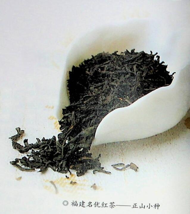 如何选购正山小种(1)