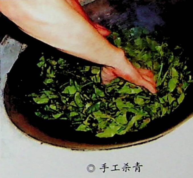 青茶的基本制作工序分为什么(1)