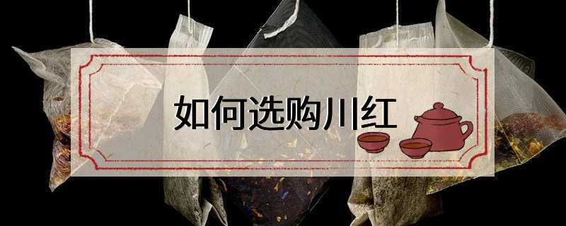如何选购川红