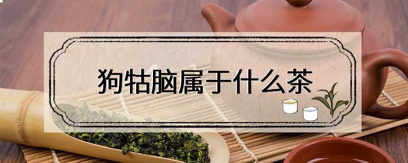 狗牯脑属于什么茶