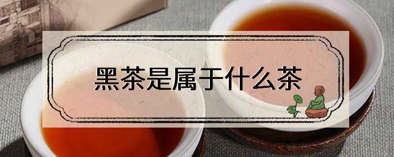 黑茶是属于什么茶