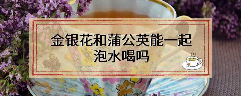 金银花和蒲公英能一起泡水喝吗