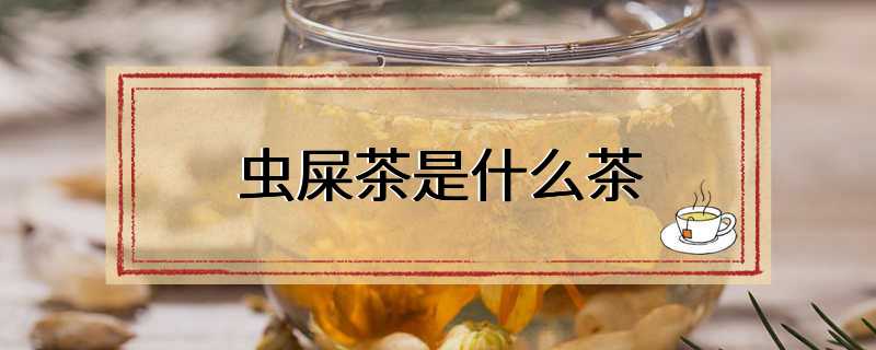 虫屎茶是什么茶