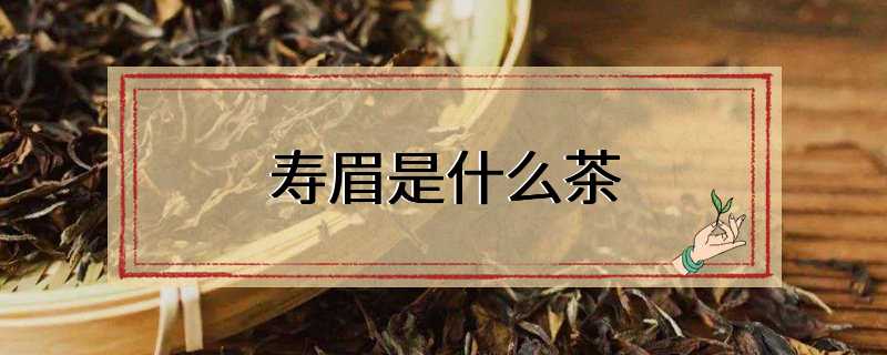 寿眉是什么茶