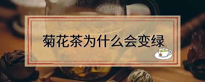菊花茶为什么会变绿
