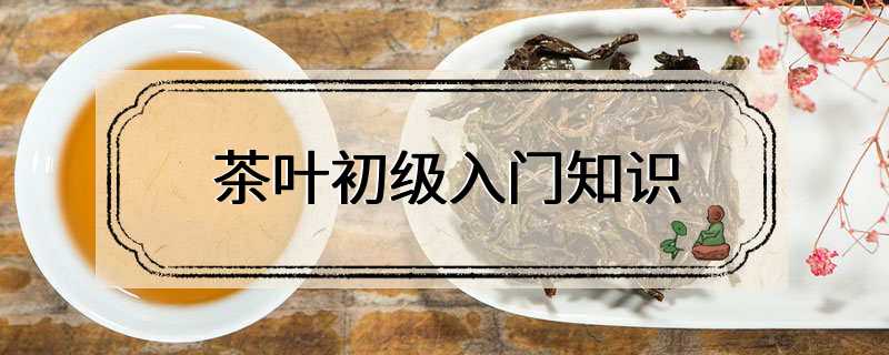 茶叶初级入门知识