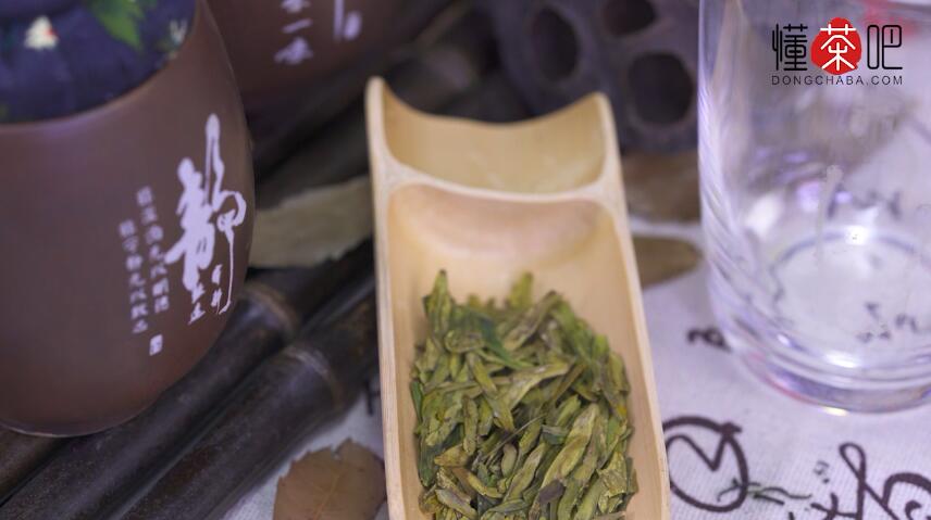 茶叶初级入门知识