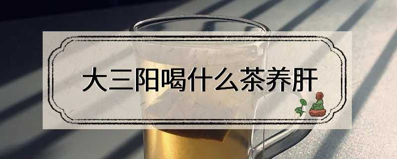 大三阳喝什么茶养肝