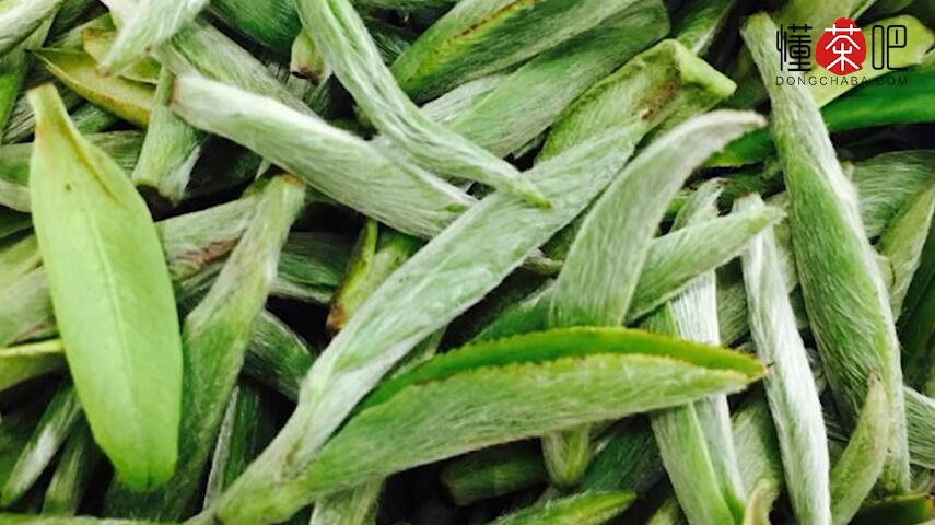 翠眉是什么茶叶