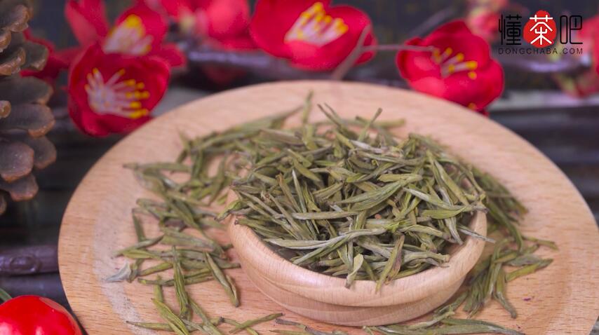 安吉白茶属于什么茶