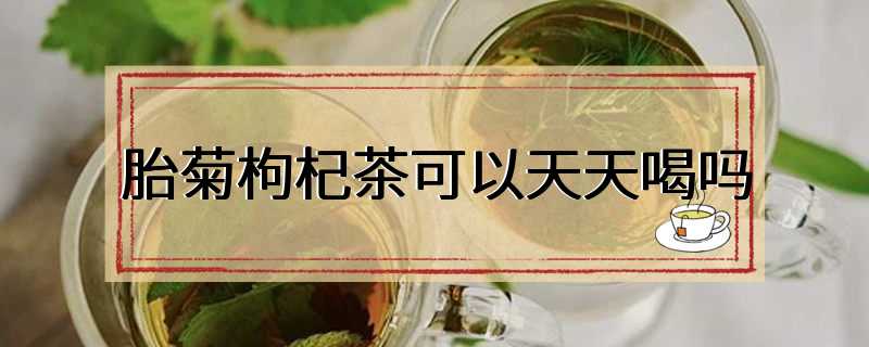 胎菊枸杞茶可以天天喝吗