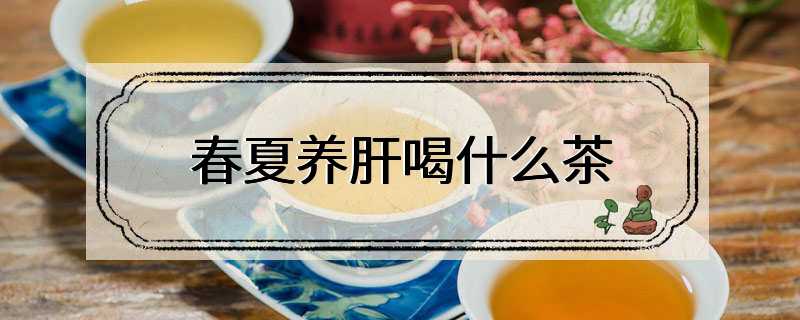 春夏养肝喝什么茶