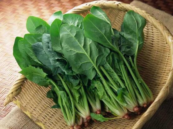 春季吃什么降血压养肝(5)