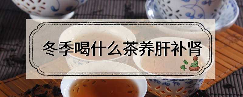 冬季喝什么茶养肝补肾