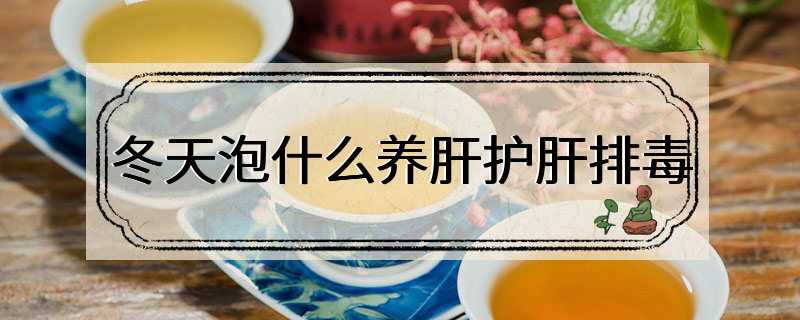 冬天泡什么养肝护肝排毒