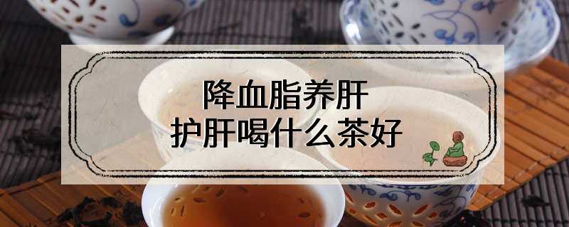 降血脂养肝护肝喝什么茶好