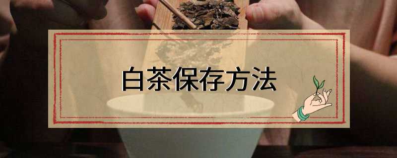 白茶保存方法
